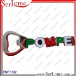 POMPEI Fridge Magnet