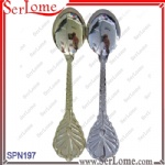 Souvenir Spoon